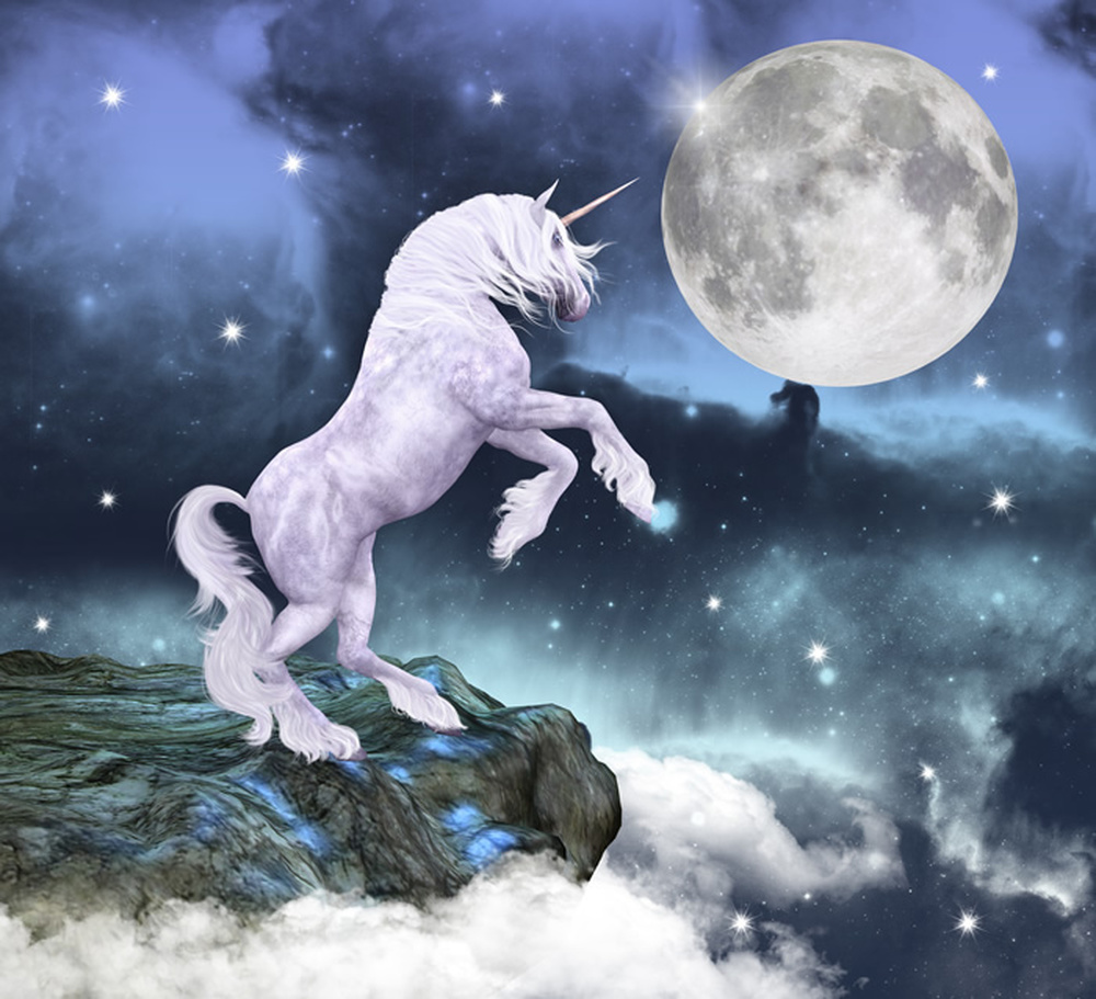 Full Moon Unicorn Wall Mural Wallpaper WS-42283 | eBay