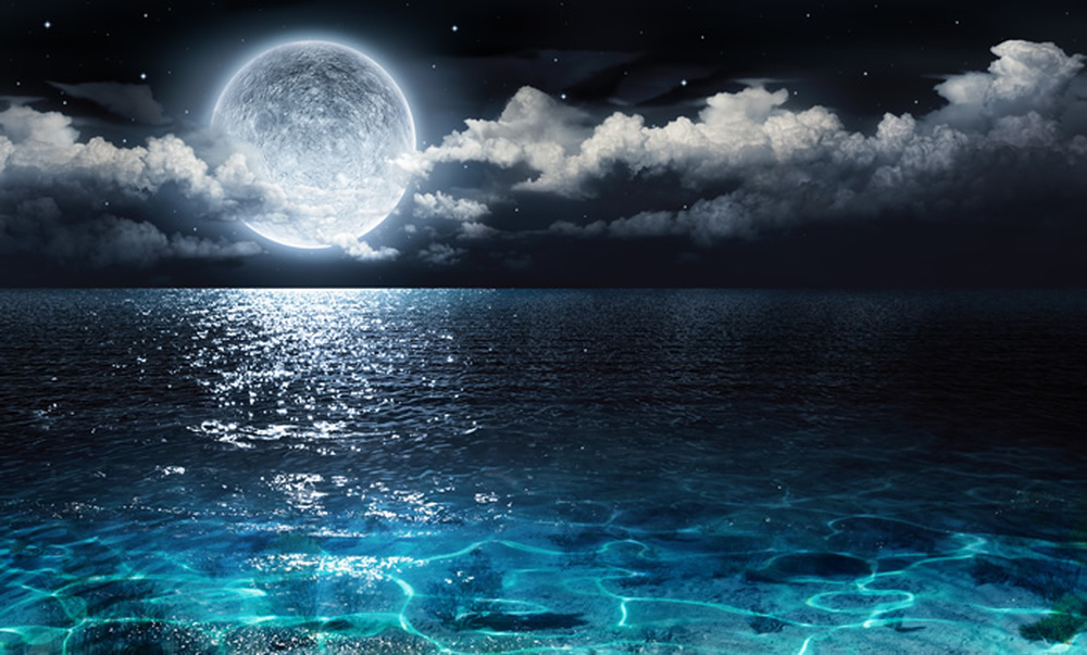 Details About Full Moon Wall Mural Night Ocean Seascape Photo Wallpaper Bedroom Home Decor