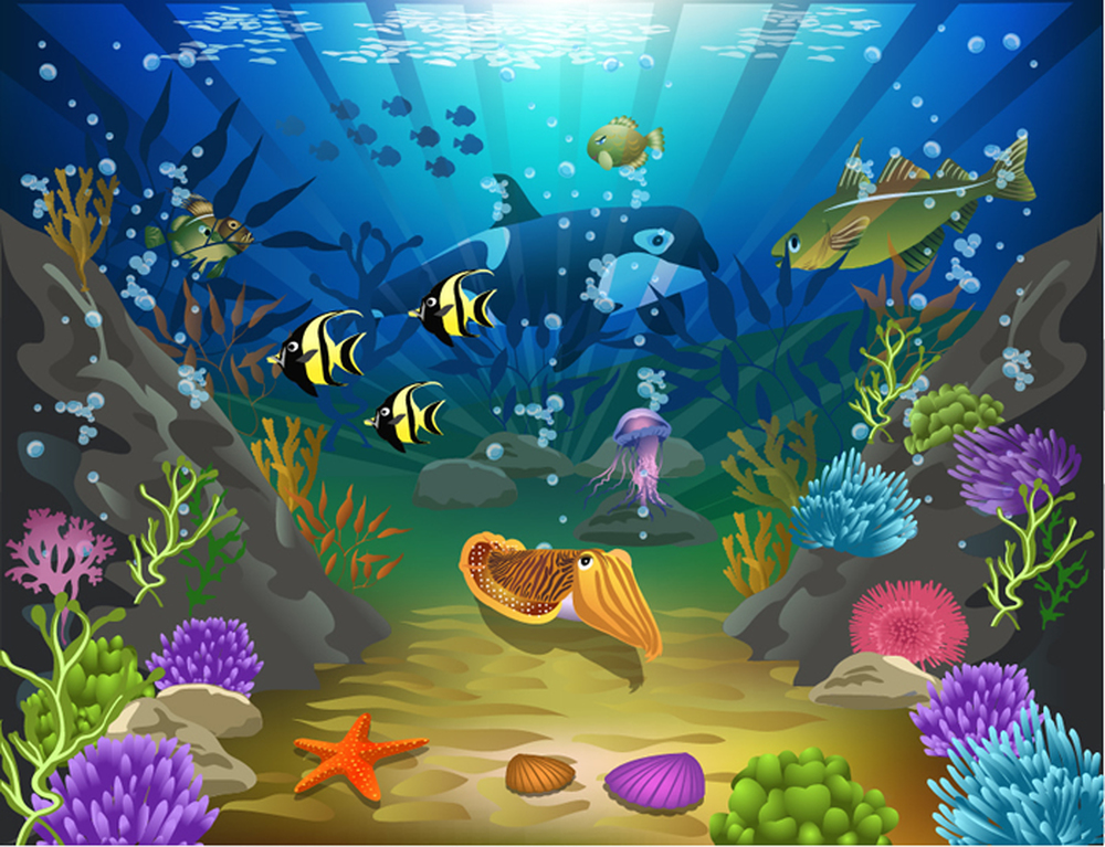 Under The Sea Wall Mural Ocean Scene Photo Wallpaper Kids ...